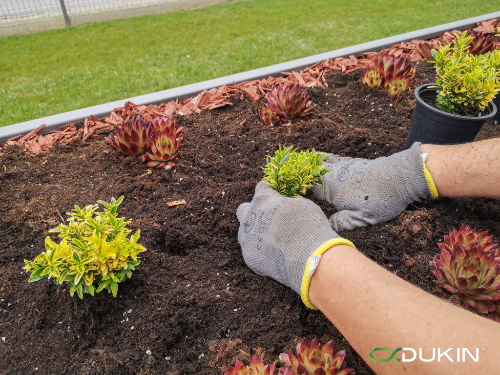 StyleOUT®, waste enclosure, plantable roof