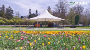 Frühlingsblumen- und Tulpenschau