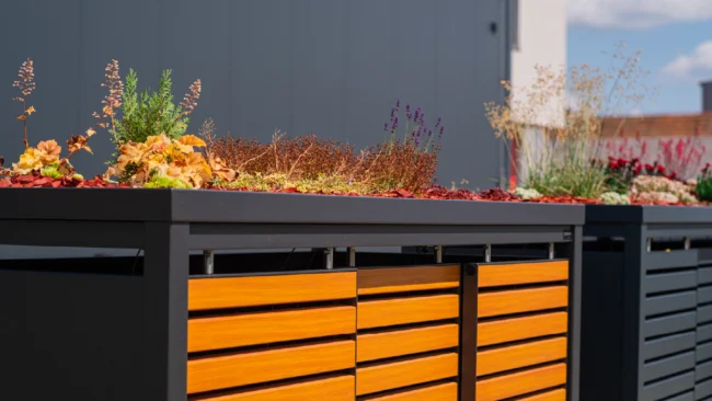 Dukin-smetarniki-55 Dukin smetarniki